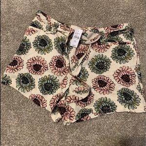 Loft outlet size 10 shorts